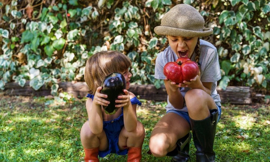 7 Activities to Teach Your Kids Sustainability This Summer